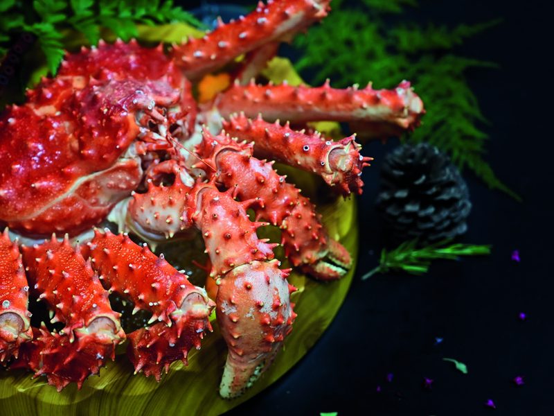 13D Aurora Norway · Finland · Sweden + King Crab Safari